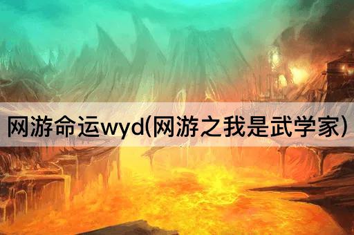 网游命运wyd(网游之我是武学家)