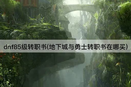 dnf85级转职书(地下城与勇士转职书购买指南)