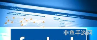 国内facebookapp(FACEBOOK APP)