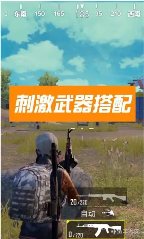 吃鸡是不是和平精英(吃鸡游戏)