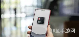 波克基斯性格配招(波克基斯内敛还是胆小)
