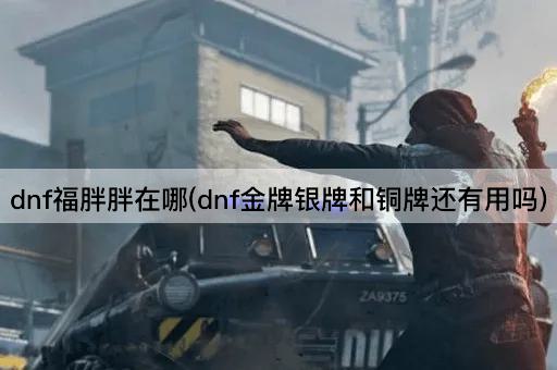 dnf福胖胖在哪(dnf金牌银牌和铜牌还有用吗)
