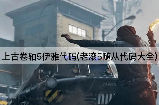 上古卷轴5伊雅代码(老滚5随从代码大全)