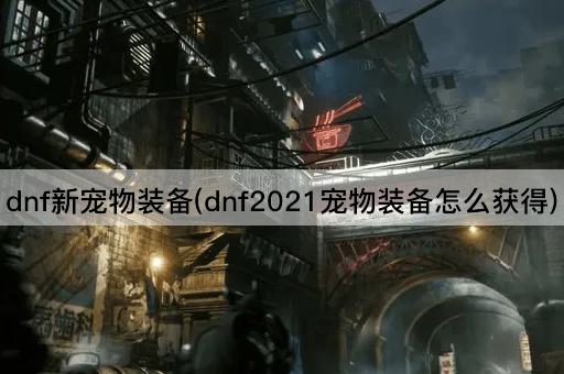 dnf新宠物装备(dnf2021宠物装备怎么获得)