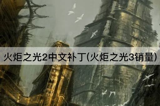 火炬之光2中文补丁(火炬之光3销量)