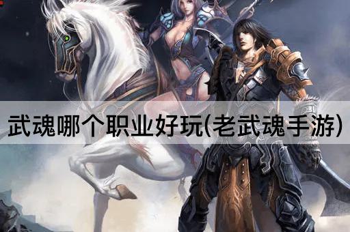 武魂哪个职业好玩(老武魂手游)