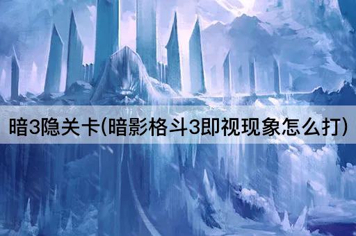 暗3隐关卡(暗影格斗3即视现象怎么打)