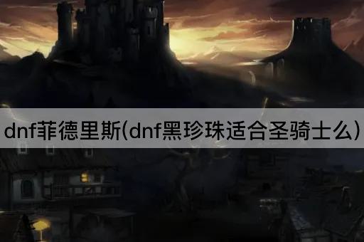 dnf菲德里斯(dnf黑珍珠适合圣骑士么)