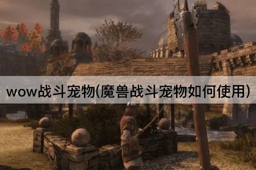 wow战斗宠物(魔兽战斗宠物如何使用)