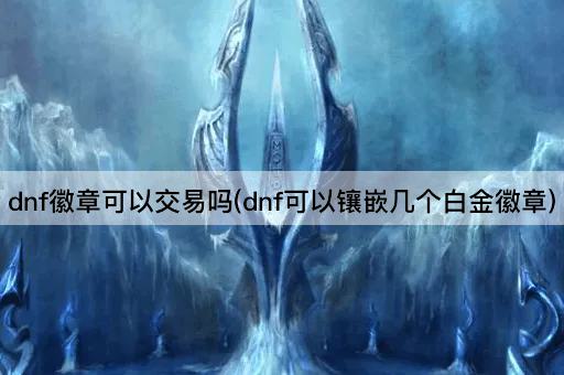 dnf徽章可以交易吗(dnf可以镶嵌几个白金徽章)