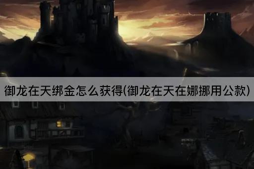 御龙在天绑金怎么获得(御龙在天在娜挪用公款)