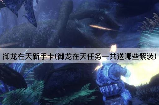 御龙在天新手卡(御龙在天任务一共送哪些紫装)