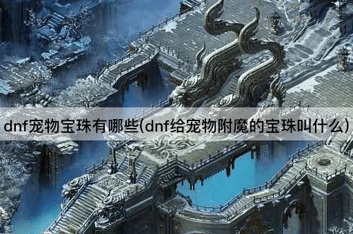 dnf宠物宝珠有哪些(dnf给宠物附魔的宝珠叫什么)