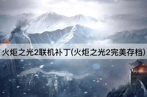火炬之光2联机补丁(火炬之光2完美存档)