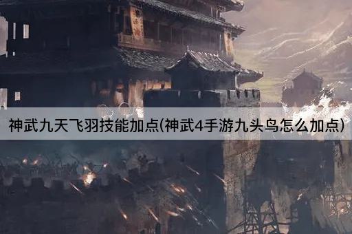 神武九天飞羽技能加点(神武4手游九头鸟怎么加点)
