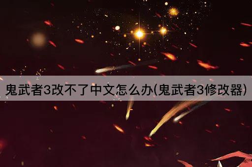 鬼武者3改不了中文怎么办(鬼武者3修改器)