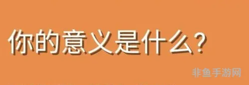 你是由什么组成的测试网站(你的意义是什么鬼东西测试入口)